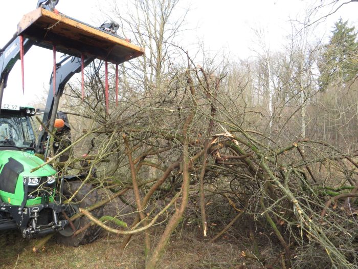 Waldbiotop pflegen