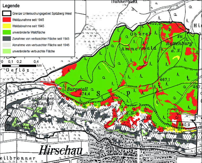 Waldfläche vergrößern