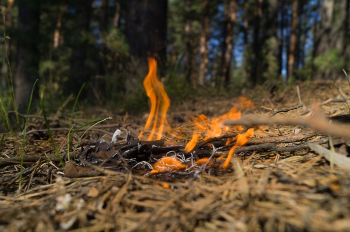 Waldbrandgefahr einschätzen