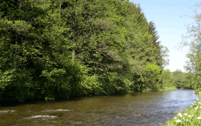 Was ist ein Fluss in der Hydrologie?