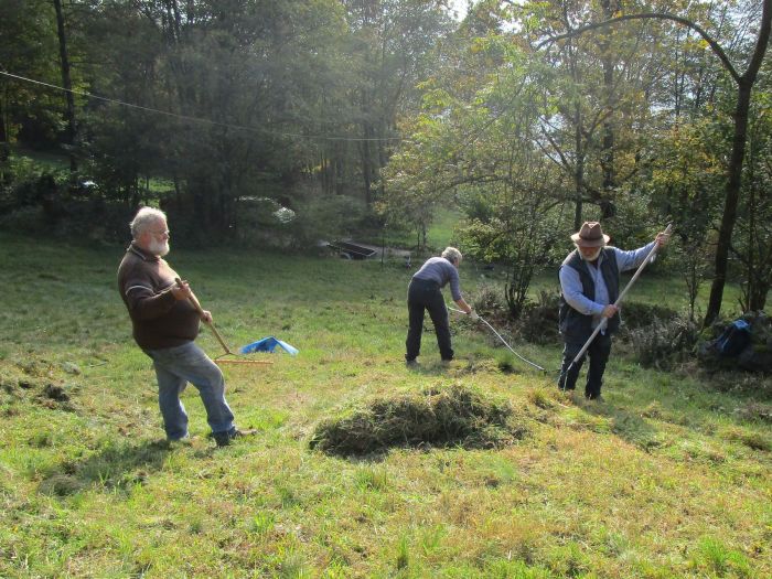 Waldbiotop pflegen