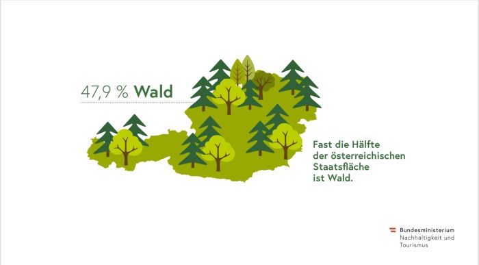 Waldfläche vergrößern