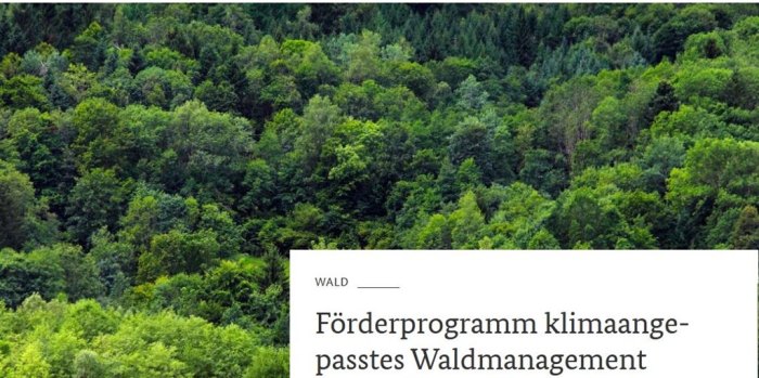 Waldluftreinhaltung fördern