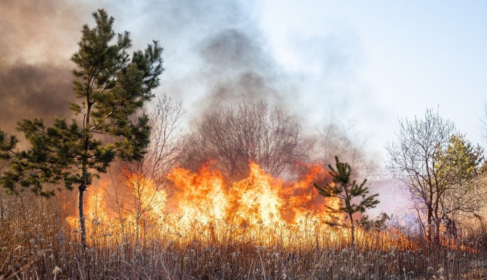 Waldbrandgefahr einschätzen