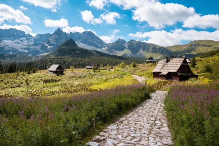 Oko morskie tatra polen europe eastern bootsnall poland gebirge tapeciarnia rysy tapeta peaks tatry bäume polskich tatrach