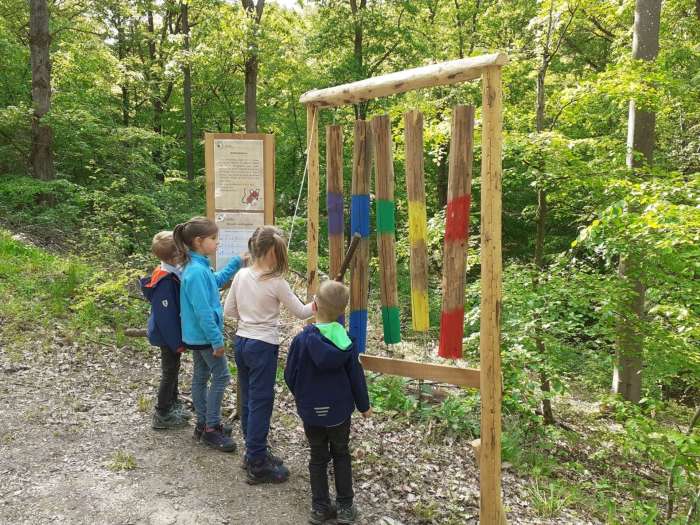 Waldlehrpfad erkunden