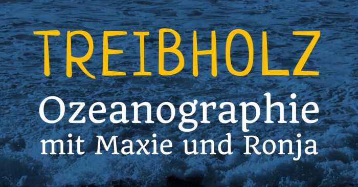 Was ist ein Fluss in der Ozeanographie?