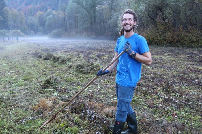 Waldbiotop pflegen