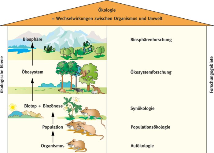 Was ist ein Fluss in der Biologie?