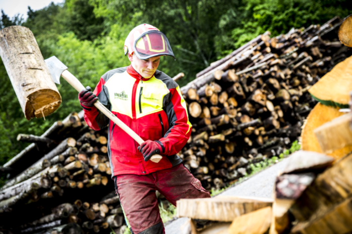 Nachhaltige waldwirtschaft informationsdienst holzwerkstoffen bauholz herstellung