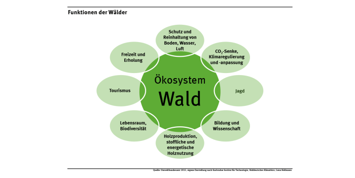 Nachhaltigen waldbewirtschaftung forstbetriebsgemeinschaft saar hochwald titelbild broschüre