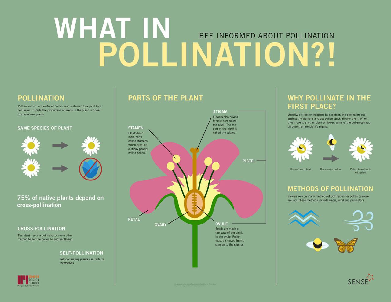 Pollination fertilization plant ways support seed complexes nutrition larger learn click taurus ag