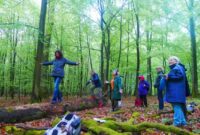 Waldbaden ausprobieren: Ein Weg zu Entspannung und Wohlbefinden