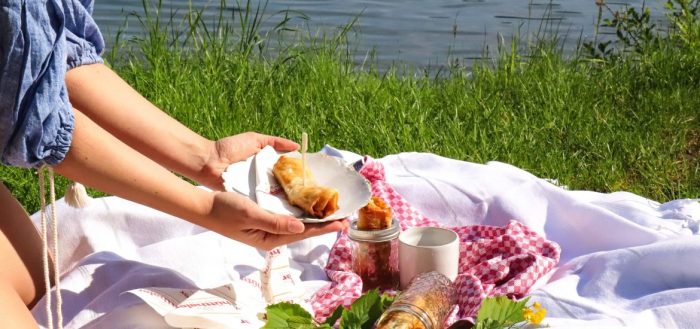 Picnic picknick nique lac pique