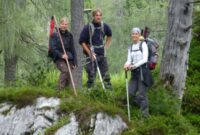 Waldinventur durchführen: Eine umfassende Anleitung für Forstwirte