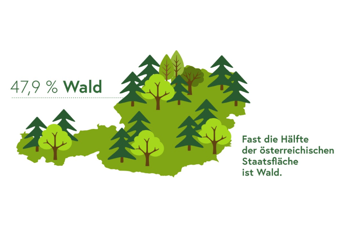 Waldinventur durchführen