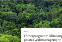 Waldluftreinhaltung fördern: Schutz für Mensch und Umwelt