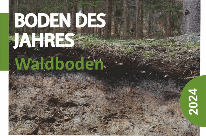 Waldbodenqualität verbessern