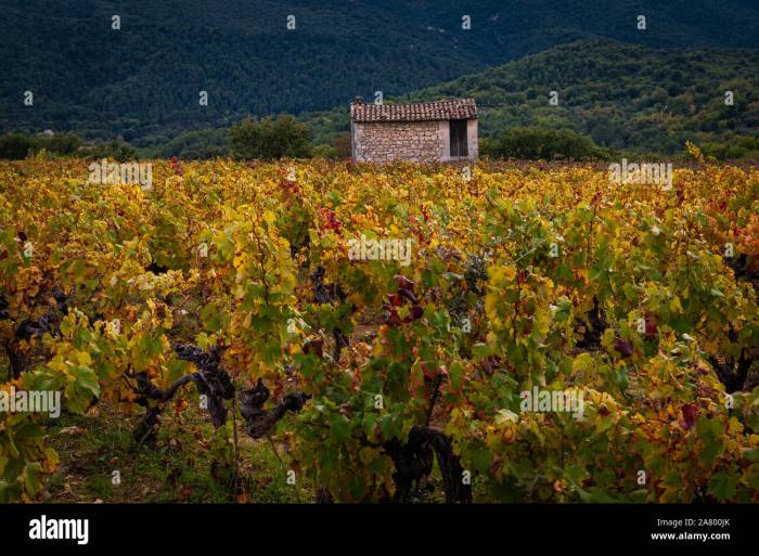 Berge in Frankreich für Weinliebhaber