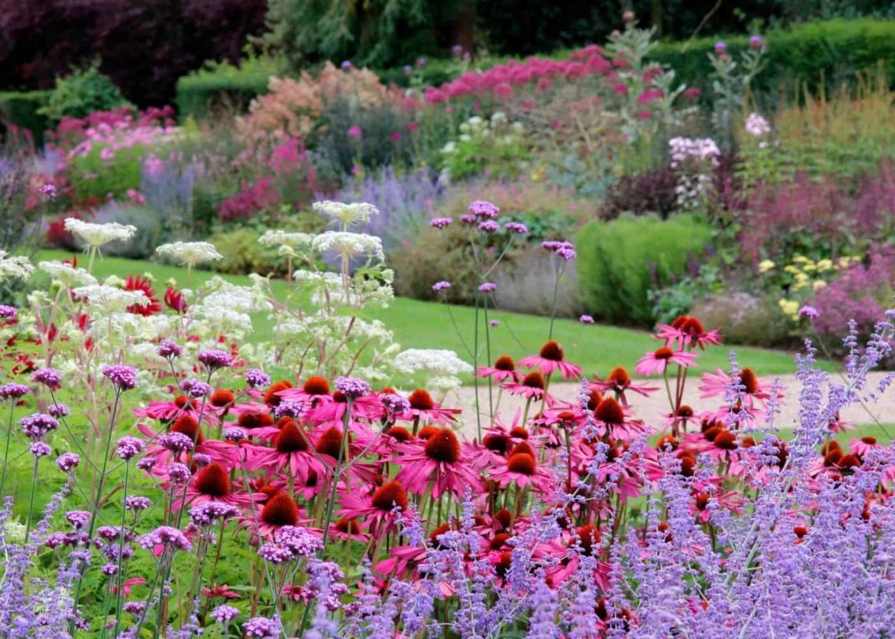 Bio-Garten mit Wildblumen