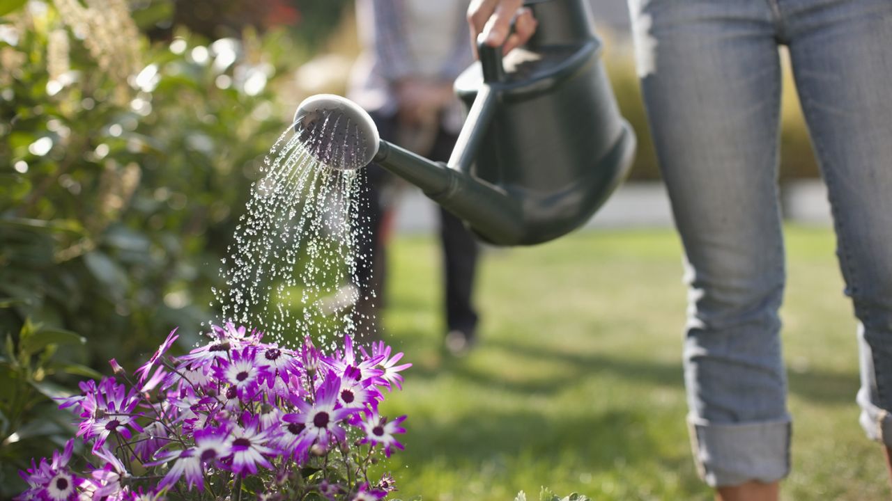 Watering wick gardening capillary