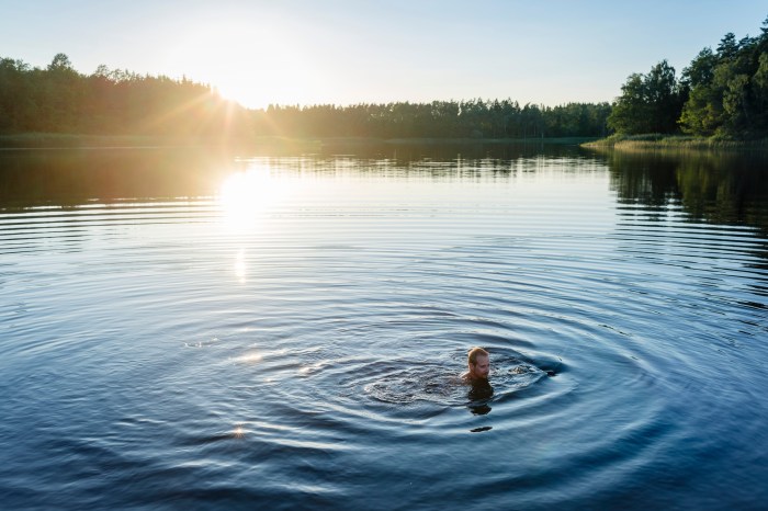 Schwimmen im See