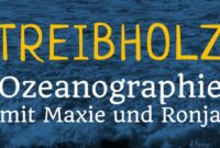 Was ist ein Fluss in der Ozeanographie?