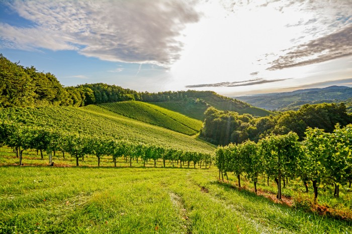 Berge in Frankreich für Weinliebhaber