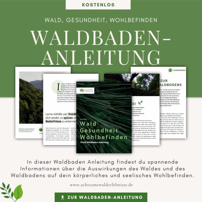 Waldbaden ausprobieren